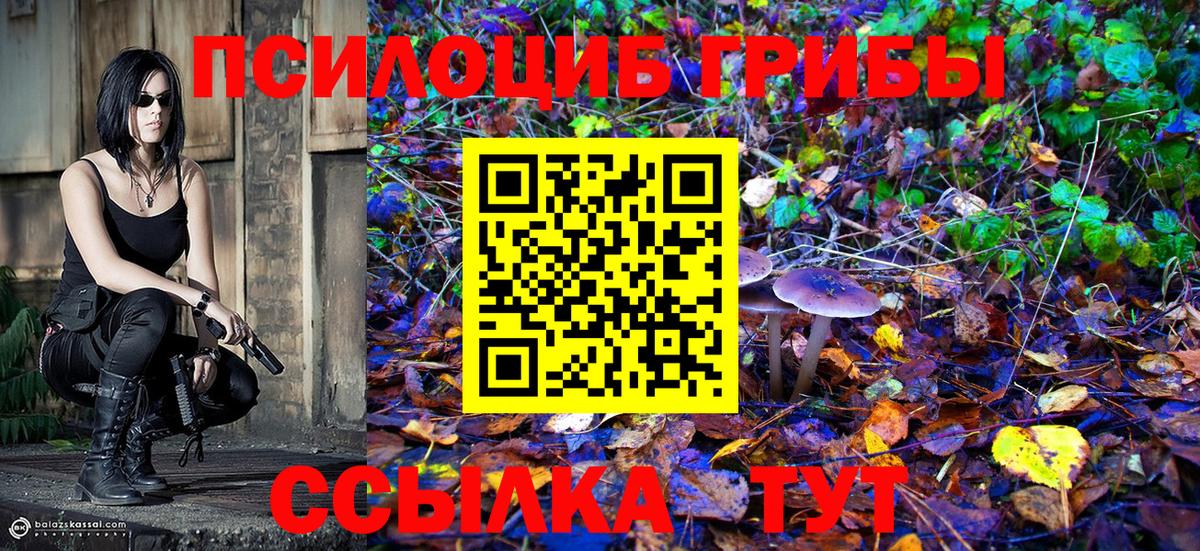 Галлюциногенные грибы ЛСД Гулькевичи