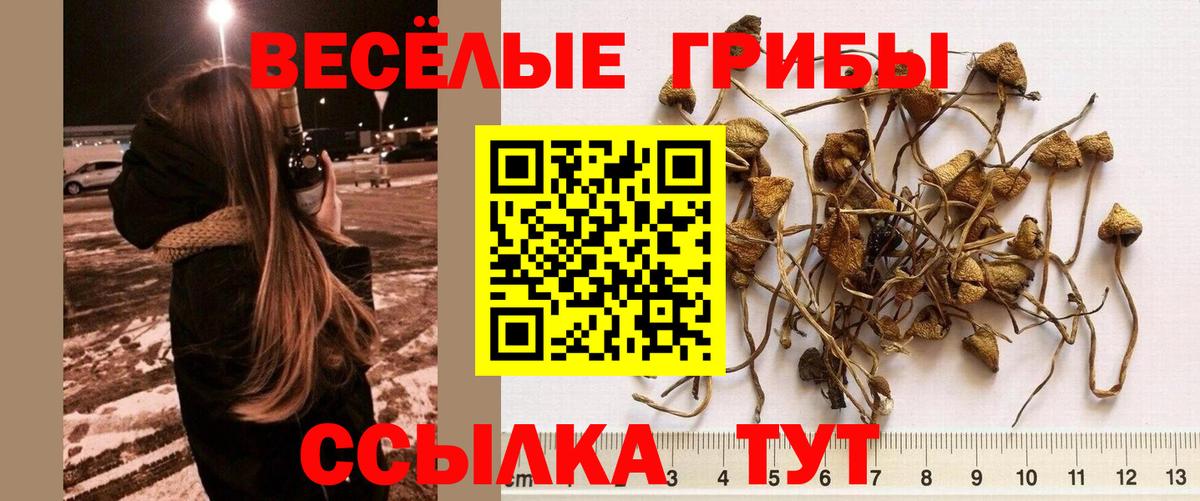 Псилоцибиновые грибы прущие грибы  Вход с VPN  Гулькевичи 